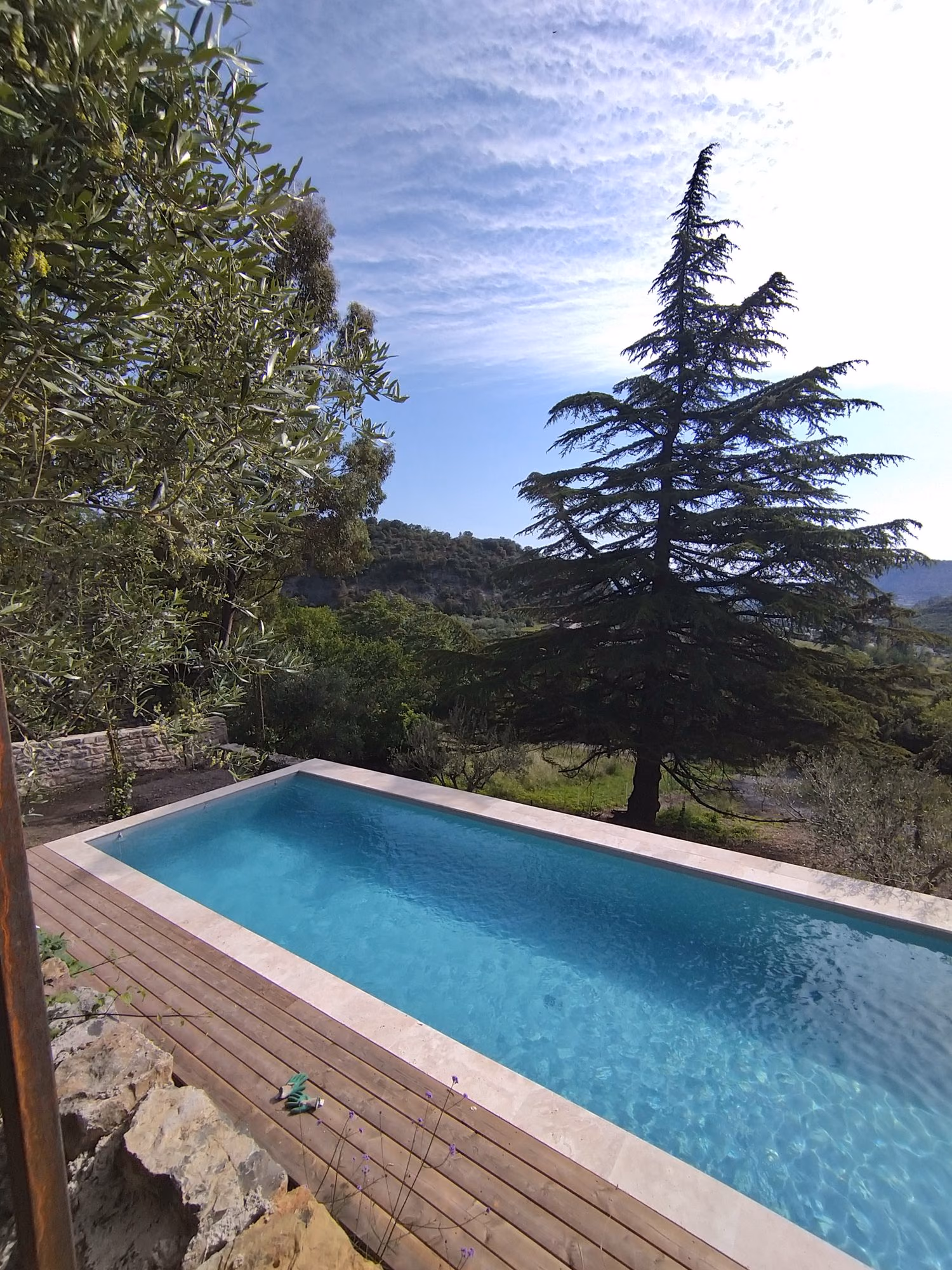 Piscine semi-enterrée habillée de bois sous un cèdre aux Vans