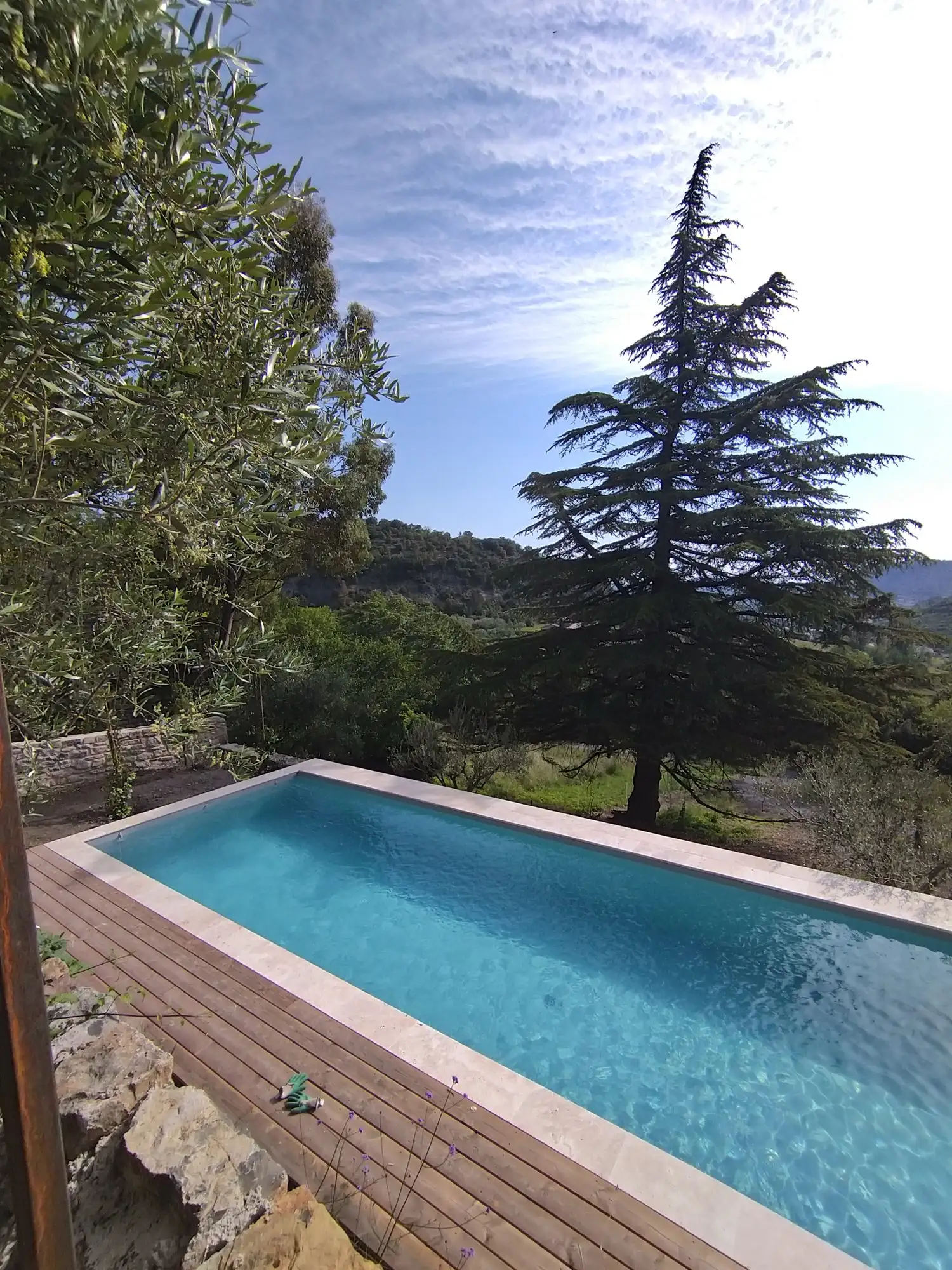 Piscine semi-enterrée habillée de bois sous un cèdre aux Vans