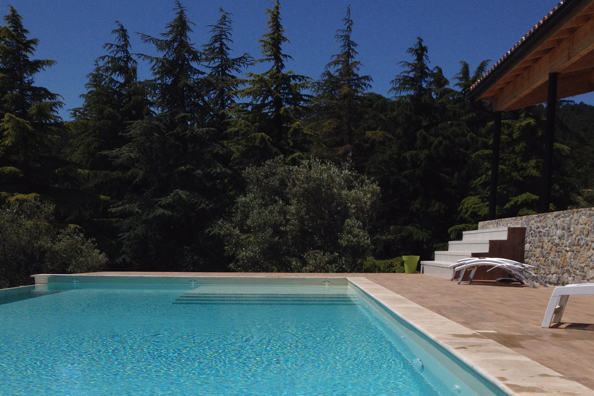 Piscine traditionnelle en béton bordée de cèdres, margelle claire et terrasse en pierre