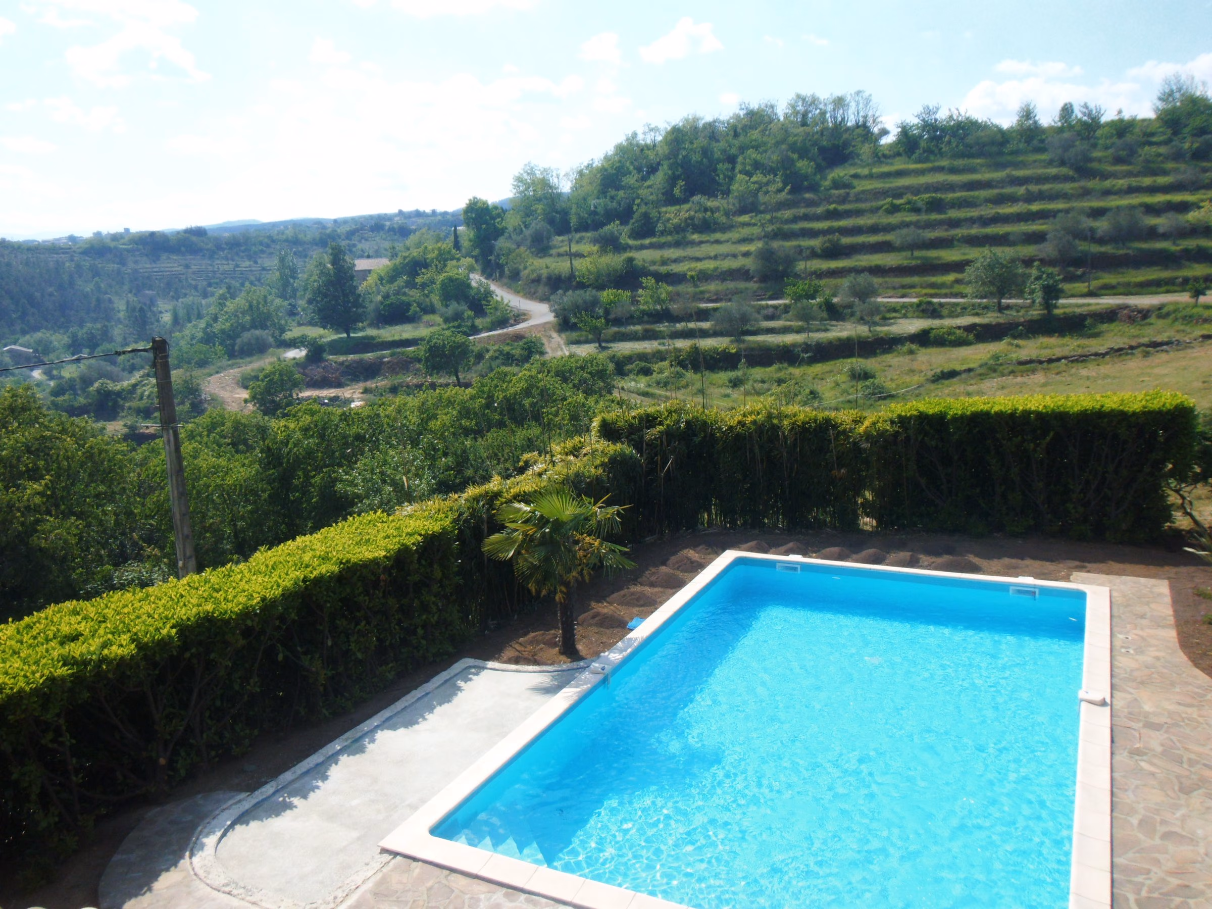 Piscine rénovée face aux coteaux en terrasses, haie et dallage neufs