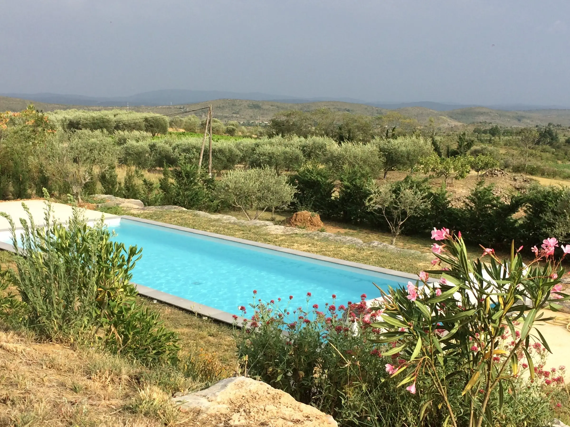 Piscine traditionnelle en béton au milieu des oliviers, face aux collines de Vinezac